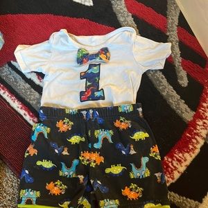 24 month outfit perfect for one year old party or pictures. Worn one time.